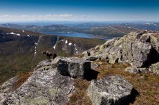 Jämtland