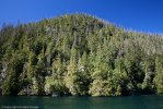Broughton archipelago-8985