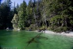 Broughton archipelago-9017