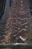 Broughton archipelago-9069