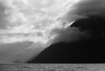 Glendale_Björn-3660