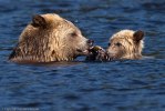 Glendale_Björn-9735