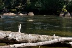 Thompson Sound-3493