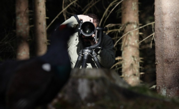 Fotograf som siktar på Tjädern Billingen