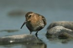 034_redigerad-1