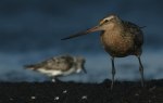 468_redigerad-1