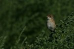 074_redigerad-1