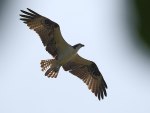 IMG_5055_redigerad-1