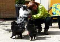 # 5 # pusskalaset fortsätter