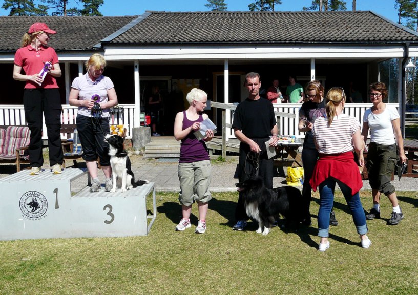 Hopplopp. 0 fel placering 5