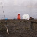 Laxfiskepremiär i Falkenberg