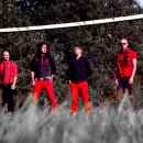 Redout