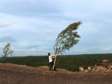 Hanna Ljungh, Vedergällning, video
