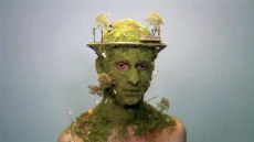 Levi van Veluw, Landscapes. Video