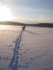 Foxy Winter December 2010 Photo Torun Ekstrand (1)