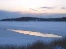 Foxy Winter December 2010 Photo Torun Ekstrand (2)