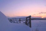 Foxy Winter December 2010 Photo Torun Ekstrand (3)