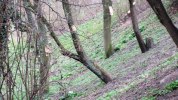 Hilfe Rostock Photo Torun Ekstrand (4)
