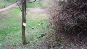 Hilfe Rostock Photo Torun Ekstrand (2)