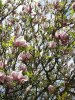 Photo_Torun_ Ekstrand_Happy Easter (9)