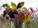 Photo_Torun_ Ekstrand_Happy Easter (3)