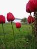 Photo_Torun_ Ekstrand_Happy Easter (1)