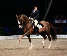 Jan Brink & Briar