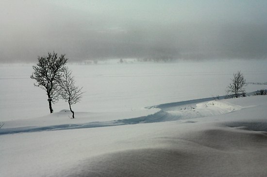 Photo: Brigitte Grenfeldt