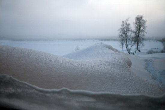 Photo: Brigitte Grenfeldt