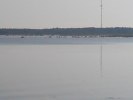 Vy över Grankullaviken, sett från Ölands norra uddes fyr "Långe Erik"