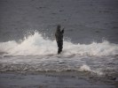 torskspinn vid neptuni åkrar