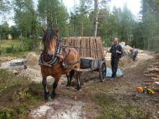 Julle kör sand med mukulåda
