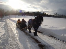 Framme i Lomviken