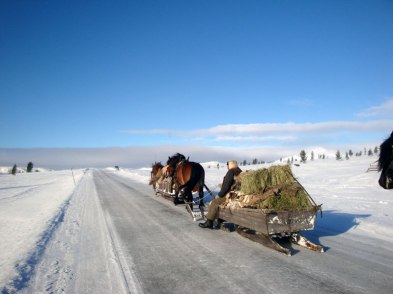 Foran går över Valdalsskalet 2009