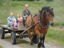 Häst och vagn