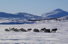 Över fjället