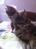 Mimmi & Lara