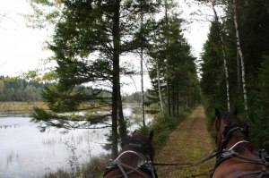 Bild ifrån kör och ridräff hösten 2011