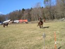 DSC01167