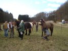 DSC01183