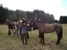 DSC01194