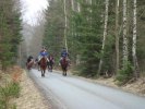 påskritt4