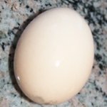 DSC09552