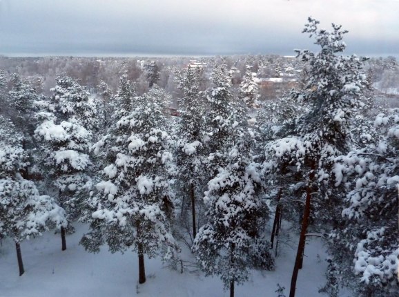 Vintervy