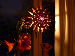 Amaryllis o stjärna
