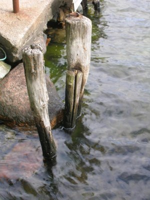 gammla pållare