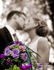 _MG_1815s