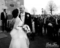 IMG_9342sv