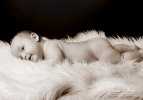 _MG_2994s