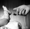 IMG_5488sv